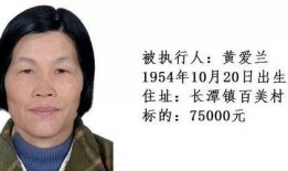 梅州老赖爆料事件视频,揭开债务纠纷背后的真相